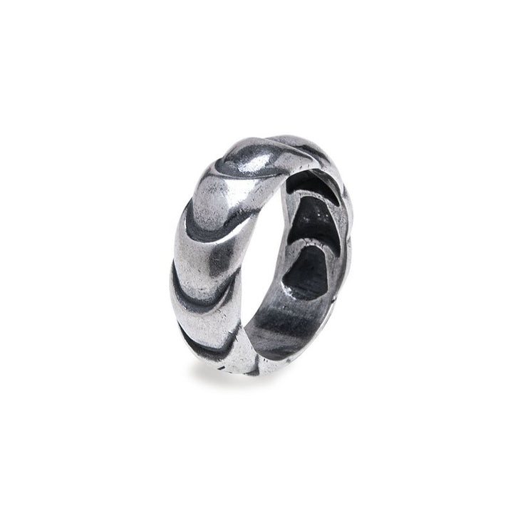 Anillo Hombre DOGMA en Plata 925 1